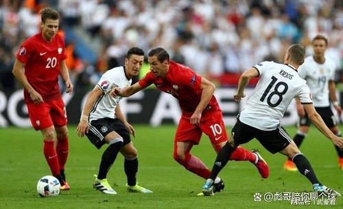 奥地利客场战胜挪威,晋级形势良好! 奥地利客场战胜挪威,晋级形势良好!