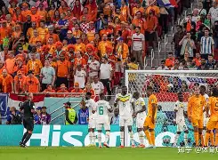 开云体育在线-荷兰斯文松神助攻，绝杀北爱尔兰夺冠
