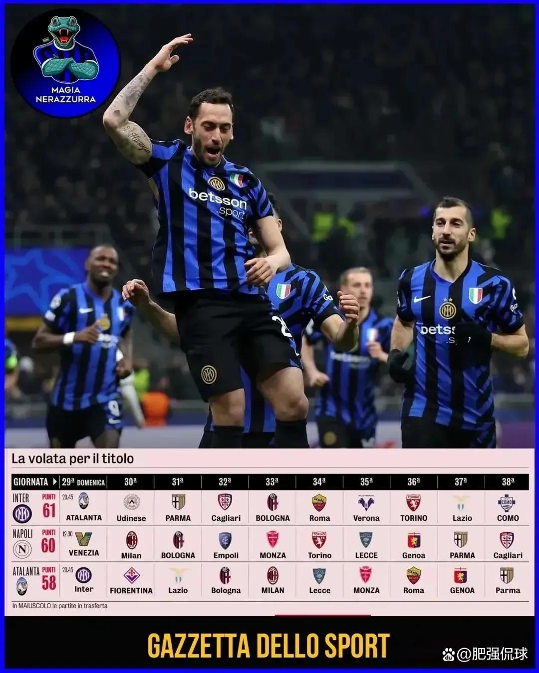 开云平台-意甲热门球队遭遇人员伤病，成绩受影响？