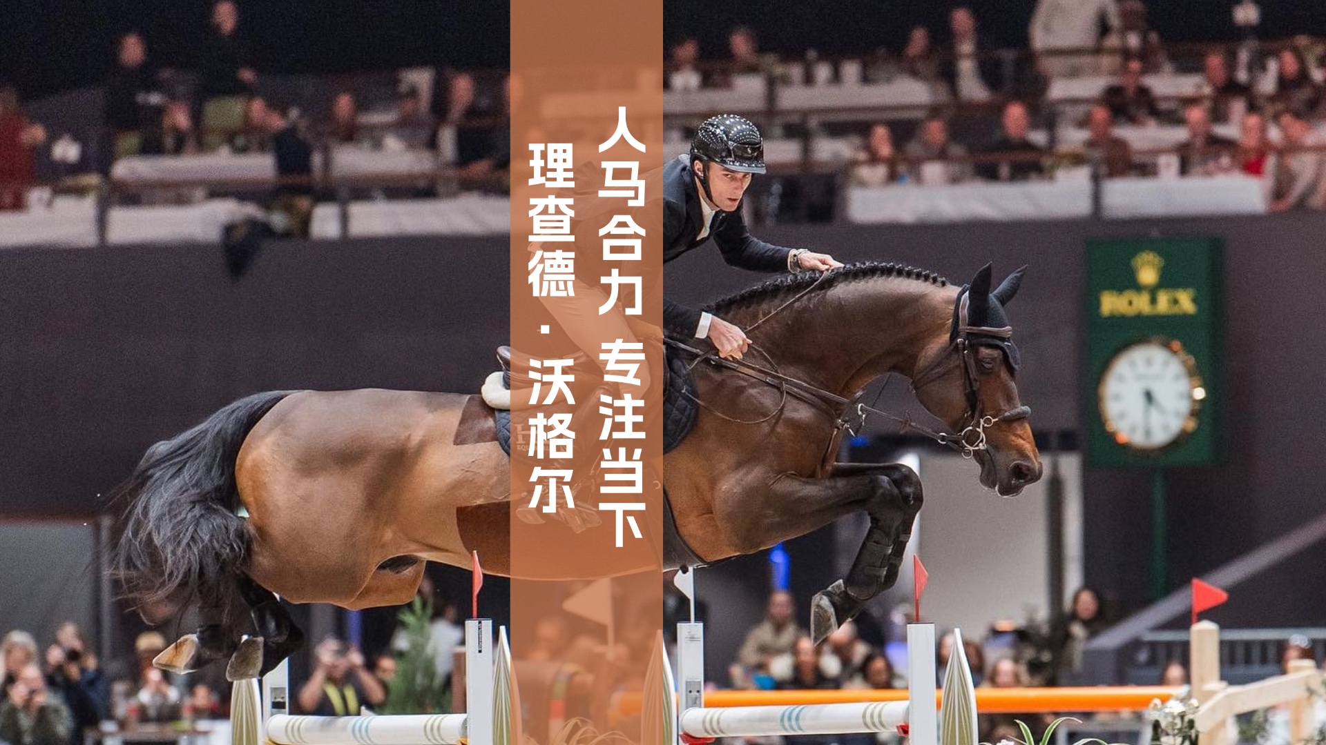 马术比赛选手与坐骑默契合作获胜 马术比赛选手与坐骑默契合作获胜